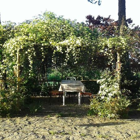 B&B Della Rosa Civitella D'Arna Dış mekan fotoğraf