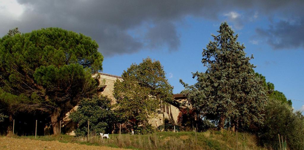 B&B Della Rosa Civitella D'Arna Dış mekan fotoğraf