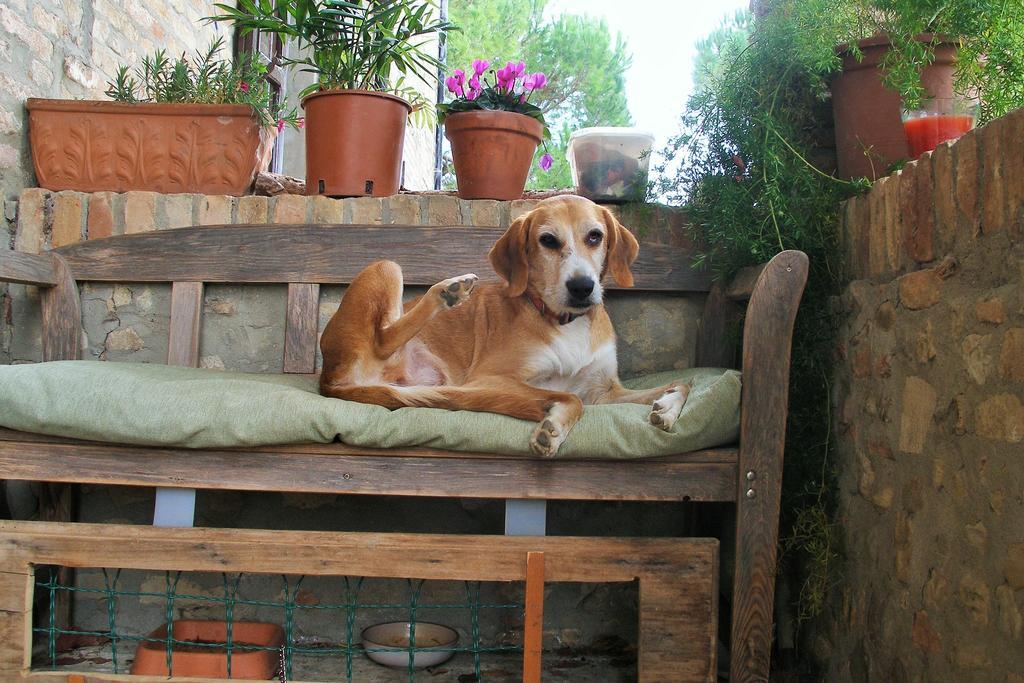 B&B Della Rosa Civitella D'Arna Dış mekan fotoğraf
