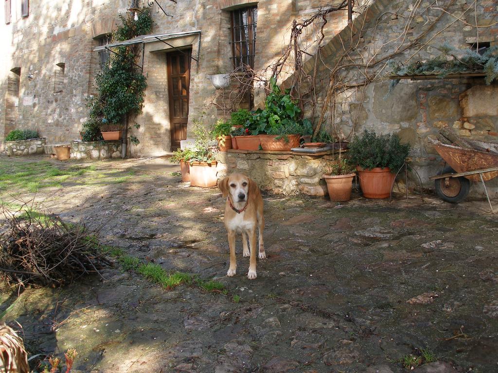B&B Della Rosa Civitella D'Arna Dış mekan fotoğraf