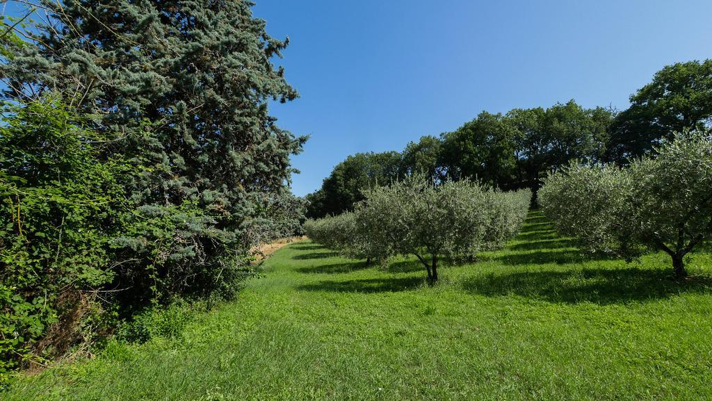 B&B Della Rosa Civitella D'Arna Dış mekan fotoğraf